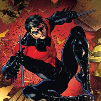 Nightwing tome 01, Pièges et Trapèzes