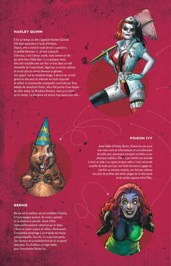 Harley Quinn tome 02 – Folle à lier