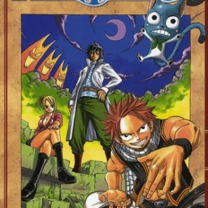 Fairy Tail tome 04