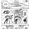 One Piece tome 024