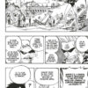 One Piece tome 036