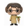 Pop - HARRY POTTER - Harry Herbologie (55)