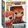 Pop - MASTERS OF UNIVERSE - Beast Man (539)