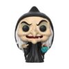Pop - DISNEY - Witch (347)