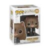 Pop - HARRY POTTER - Hermione as Cat (77) Polynectar
