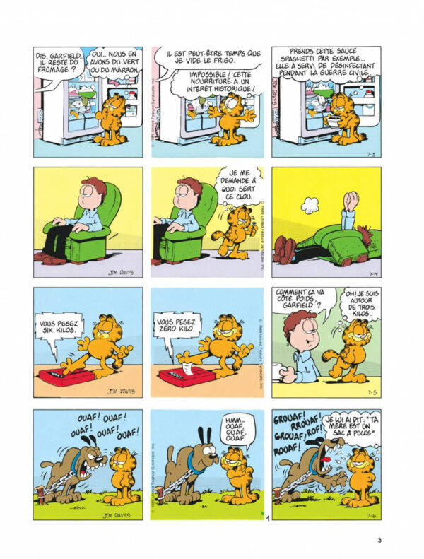 Garfield tome 15, Fait Boule de Neige