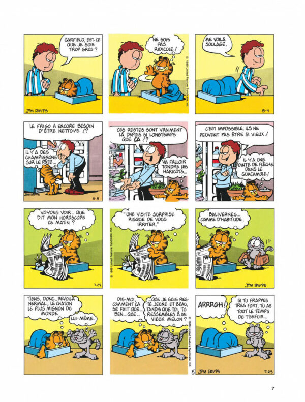 Garfield tome 15, Fait Boule de Neige