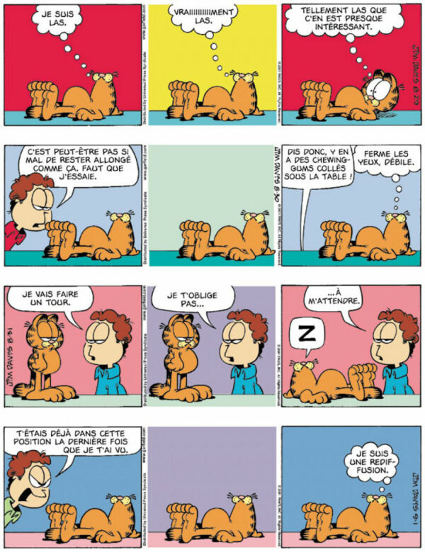 Garfield 38-5 Garfield tome 38, Chat Académie