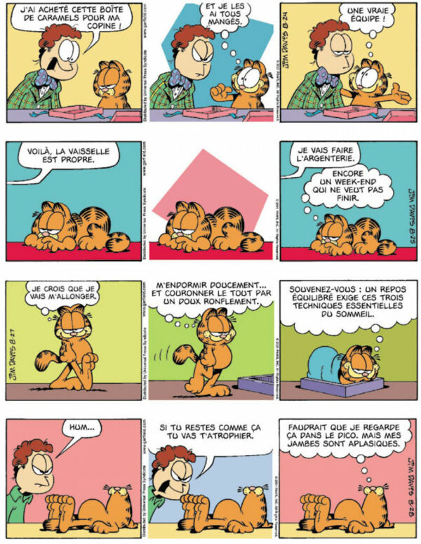Garfield 38-6 Garfield tome 38, Chat Académie