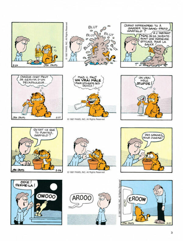 Garfield 6-3 Garfield tome 06, Une Lasagne pour mon Royaume