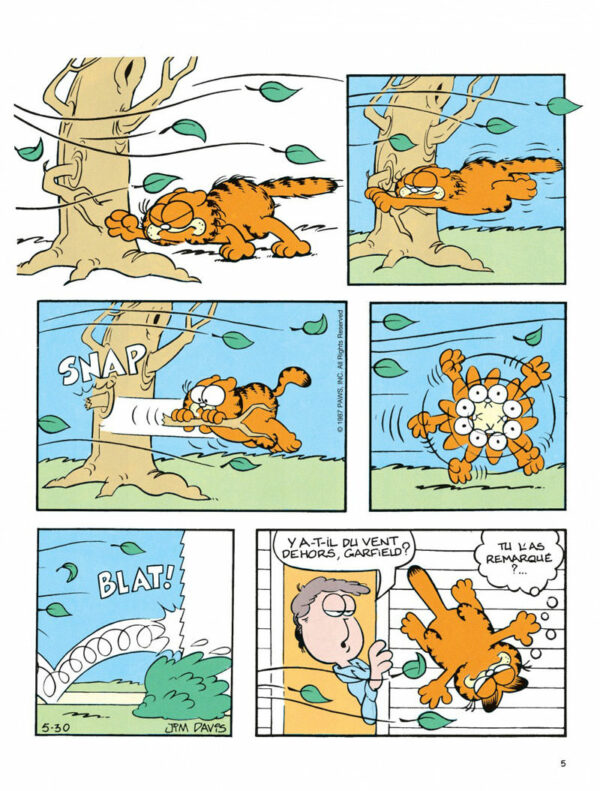 Garfield 6-5 Garfield tome 06, Une Lasagne pour mon Royaume