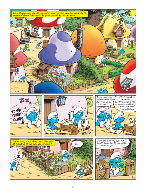 Les Schtroumpfs tome 30, Les Schtroumpfs de l'Ordre