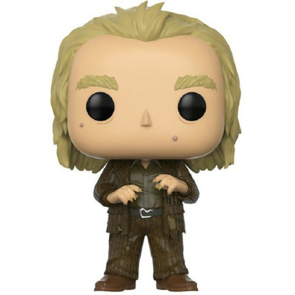 Pop - HARRY POTTER - Peter Pettigrew (48)