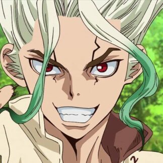 Dr. Stone