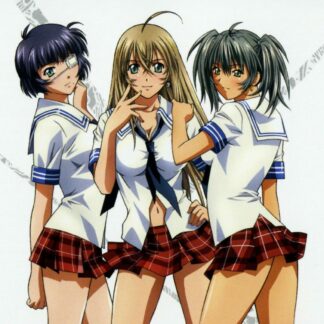 Figurines Ikki Tousen