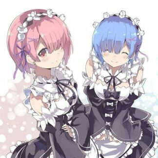 Figurines Re Zero