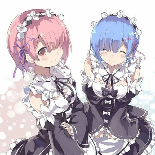 vignette rezero Alice EXQ Code Register