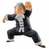 Master Roshi Ichibansho Strong Chain