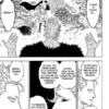 Black Clover tome 11 1-2 Black Clover tome 11