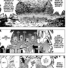 Black Clover tome 13 1-2 Black Clover tome 13