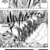 Black Clover tome 13 1-4 Black Clover tome 13