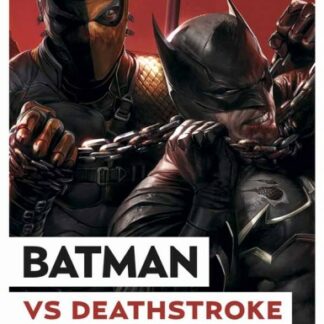Batman Vs Deathstroke