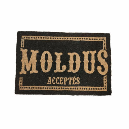 Paillasson Harry Potter avec l'inscription "Moldus Acceptés"