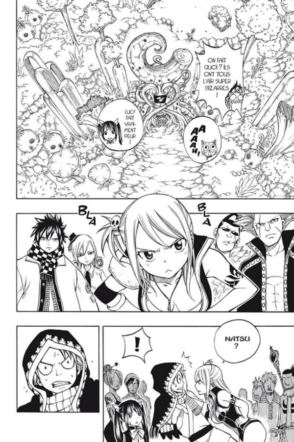 fairy tail tome 21-2 Fairy Tail tome 21