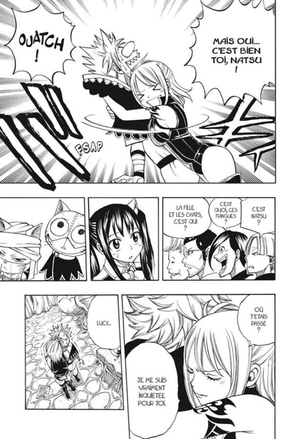 fairy tail tome 21-3 Fairy Tail tome 21