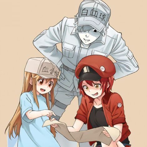 vignette brigades immunitaires 008 Apprenti Espion tome 01