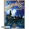 Lot de 2 Posters Harry Potter - Poudlard & Diagon Alley