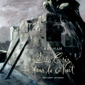 Batman, des Cris dans la Nuit