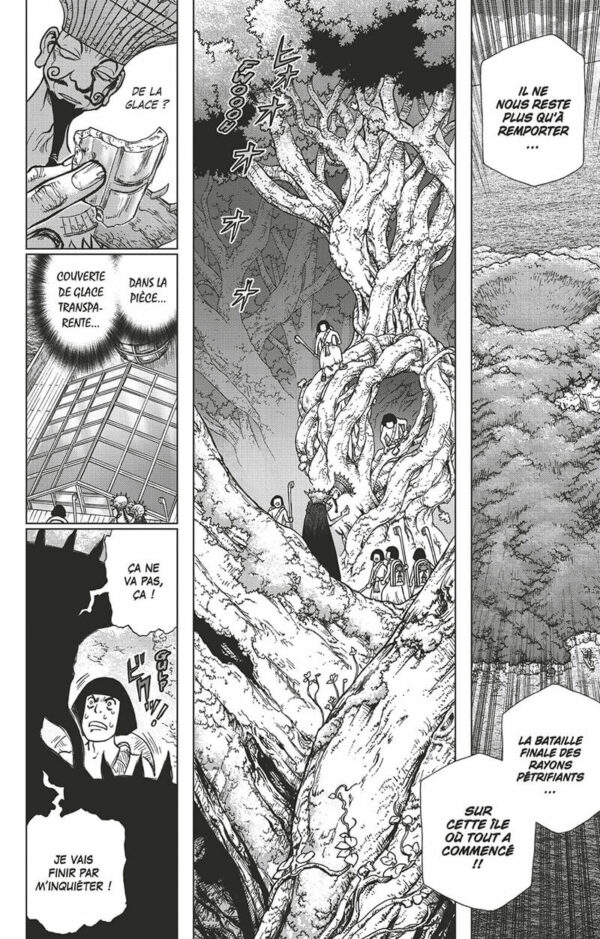 Dr. Stone tome 14