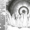 Dr Stone tome 16-6 Dr. Stone tome 16
