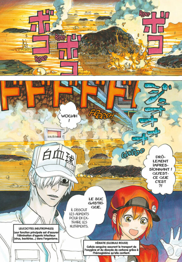 Les Brigades Immunitaires tome 02-2 Les Brigades Immunitaires tome 02