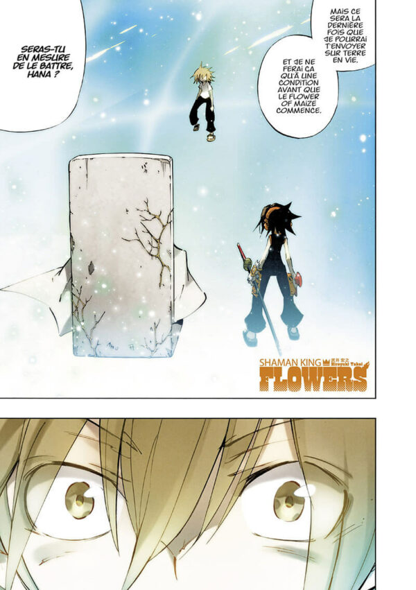 Shaman King Flowers tome 05-2 Shaman King Flowers tome 05