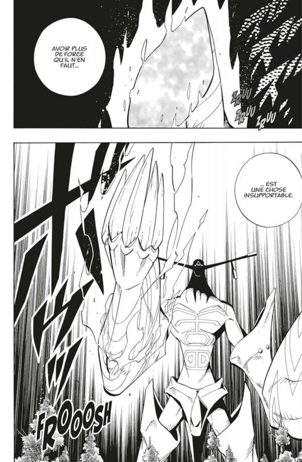 Shaman King Star Edition tome 12-3 Shaman King Star Edition tome 12 - image 3