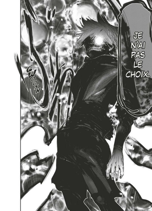 Tokyo Ghoul tome 14