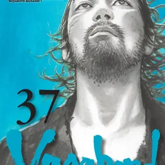 Manga Vagabond tome 37