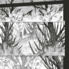 berserk tome 40-2 Berserk tome 40