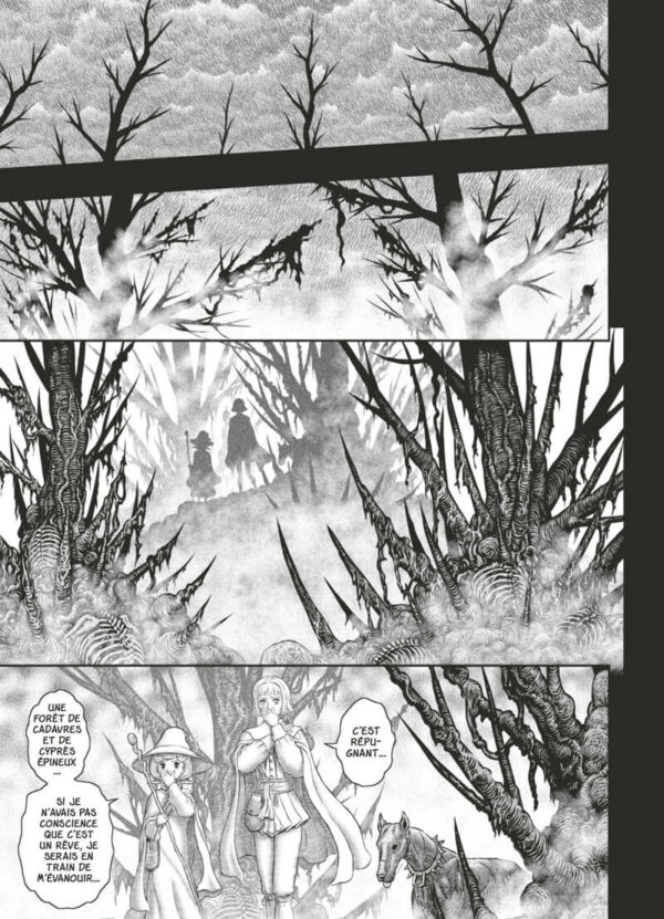 berserk tome 40-2 Berserk tome 40