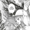 berserk tome 40-3 Berserk tome 40