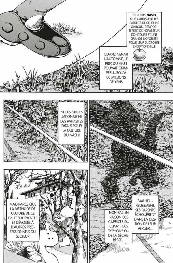 Jojo's Jojolion tome 19