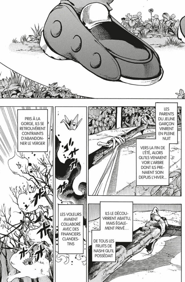 Jojo's Jojolion tome 19