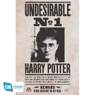 Poster Harry Potter Indesirable N°1 91,5 x 61 cm