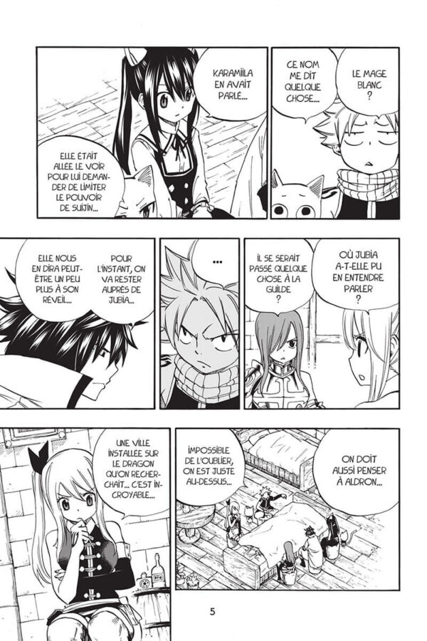 Fairy Tail 100 Years Quest tome 04