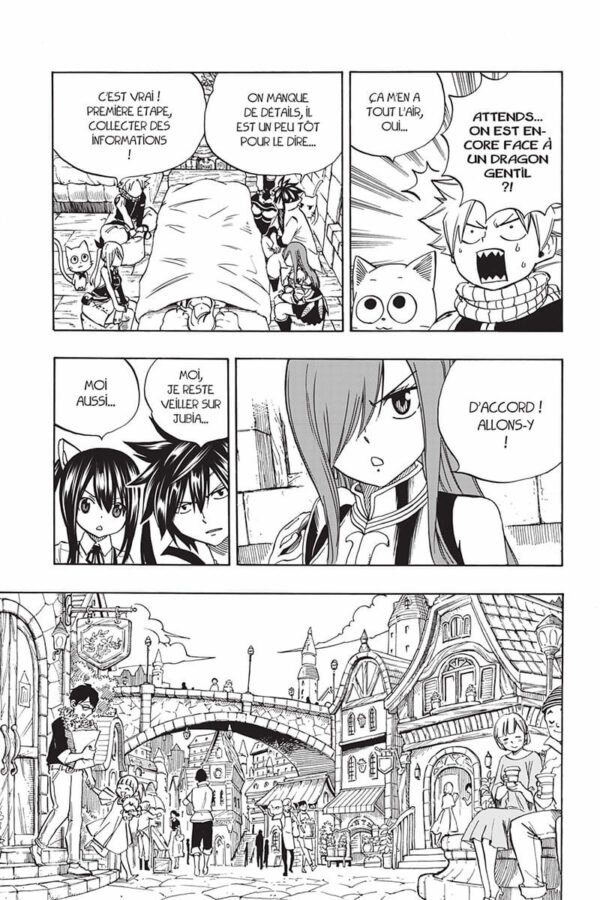 Fairy Tail 100 Years Quest tome 04