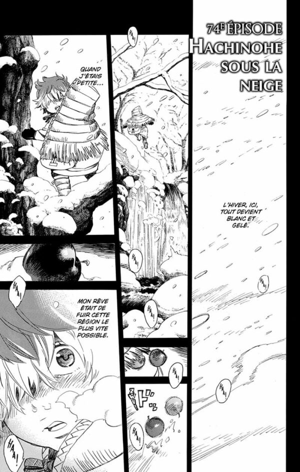 Blue Exorcist tome 17