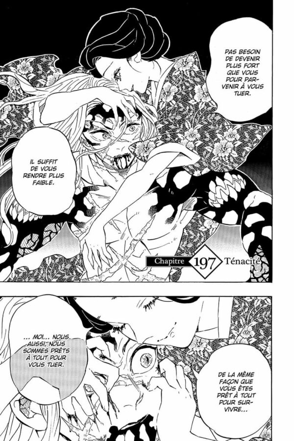 Demon Slayer tome 23