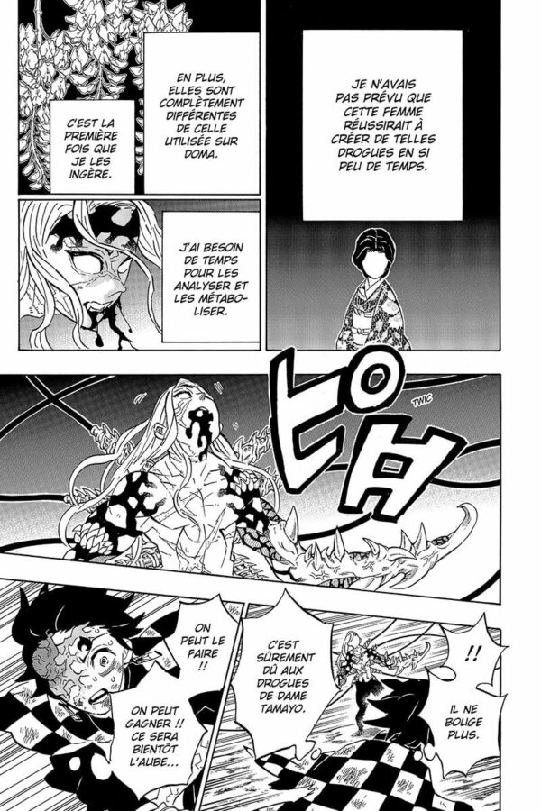 Demon Slayer tome 23